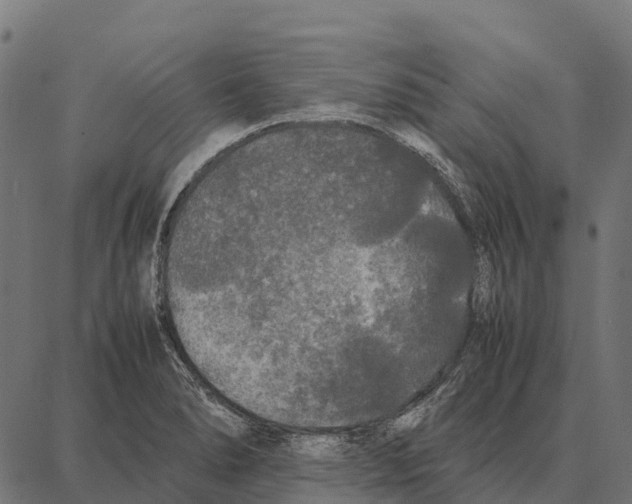 X0000087321278200705181002