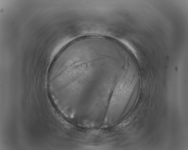 X0000087321279200705181002