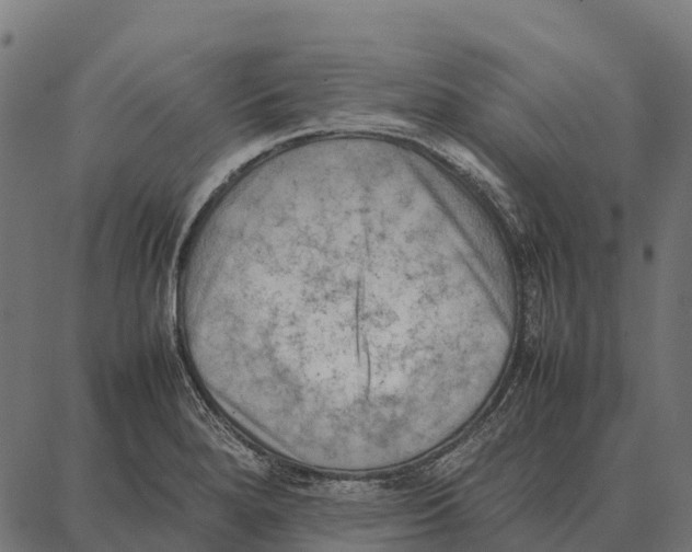 X0000087321280200705181002