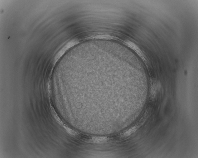 X0000087321282200705181002