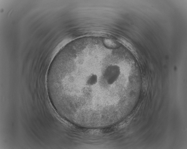 X0000087321283200705181002