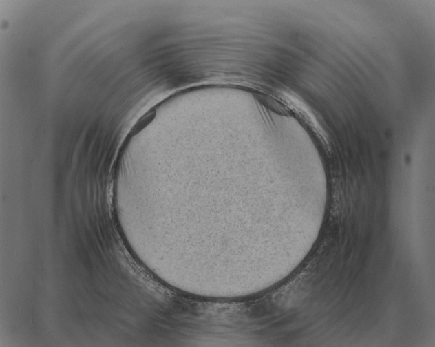 X0000087321284200705181002