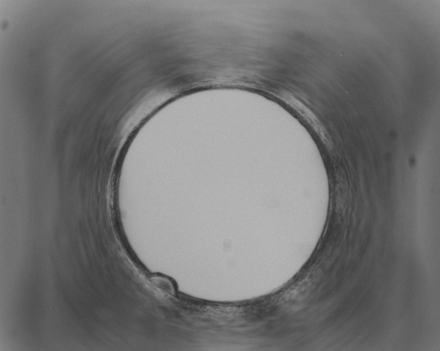 X0000087321285200705181002