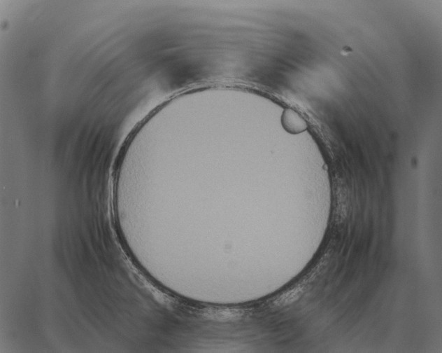 X0000087321286200705181002