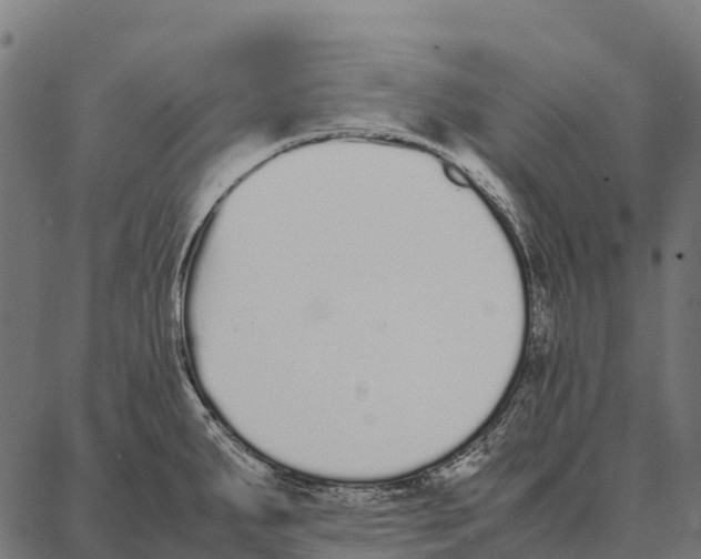 X0000087321287200705181002