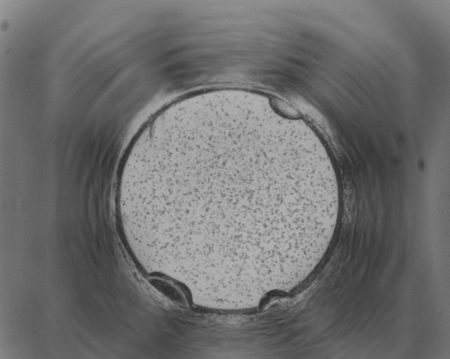 X0000087321288200705181002