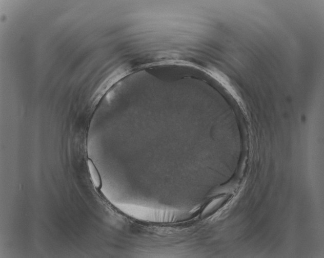 X0000087321289200705181002