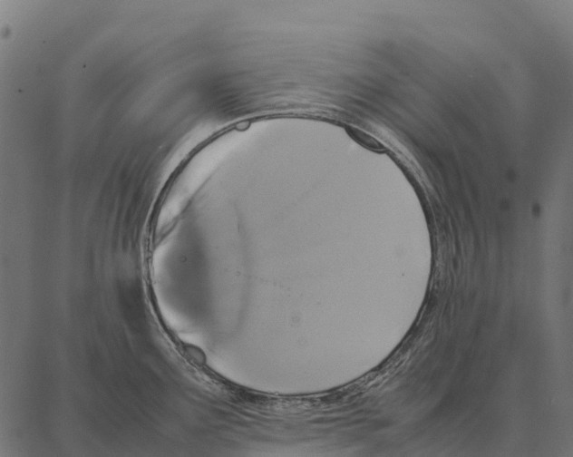 X0000087321291200705181002