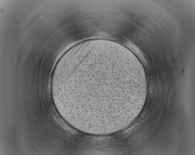 X0000087321292200705181001