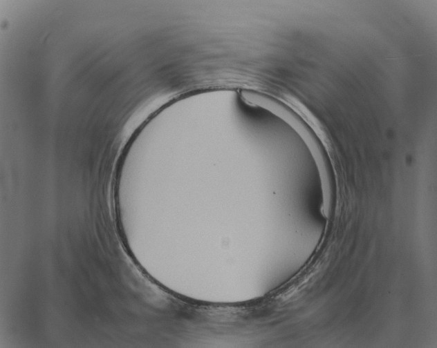 X0000087321293200705181001