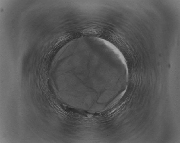 X0000087321297200705181001