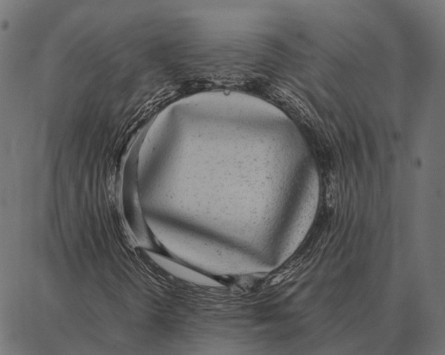 X0000087321298200705181001