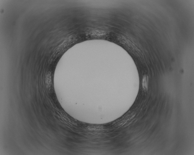 X0000087321299200705181001