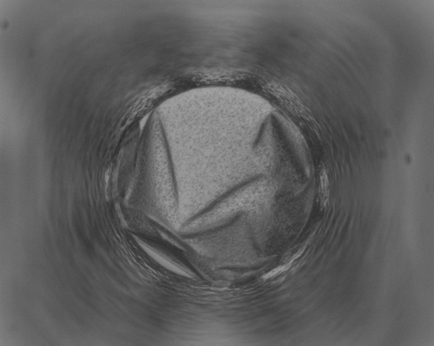 X0000087321300200705181001