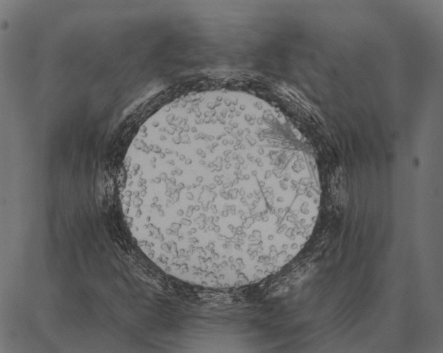 X0000087321302200705181001