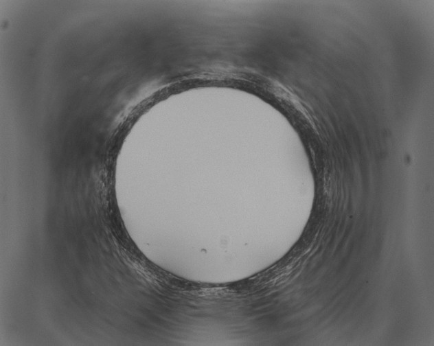 X0000087321304200705181001