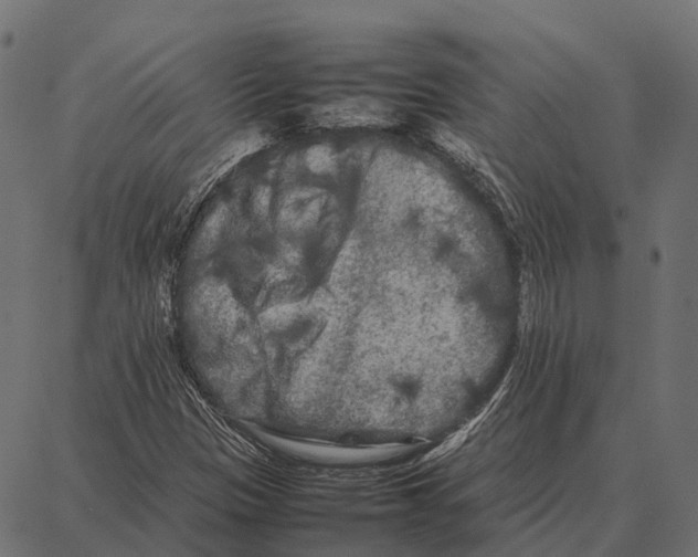 X0000087321305200705181001