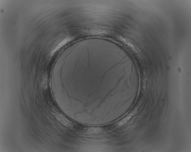 X0000087321306200705181001