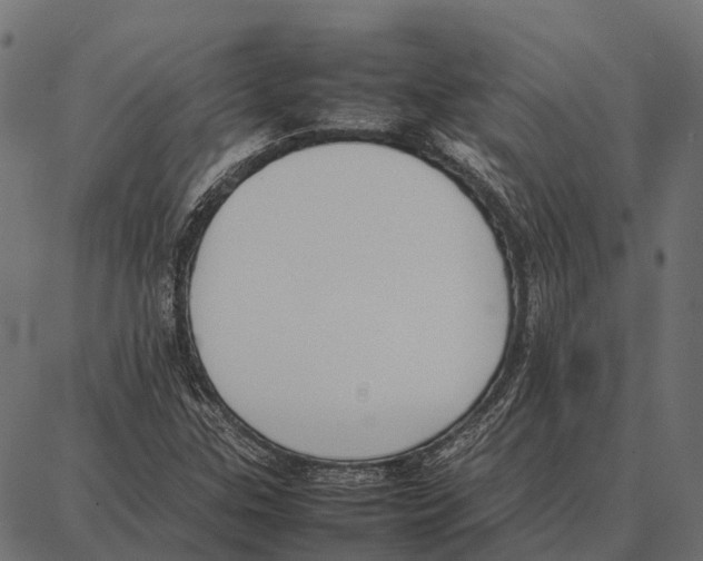 X0000087321307200705181001