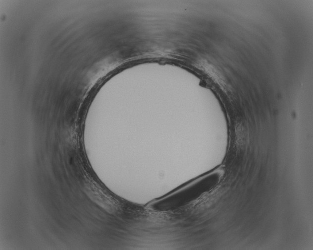 X0000087321308200705181001