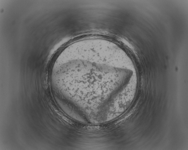 X0000087321310200705181001