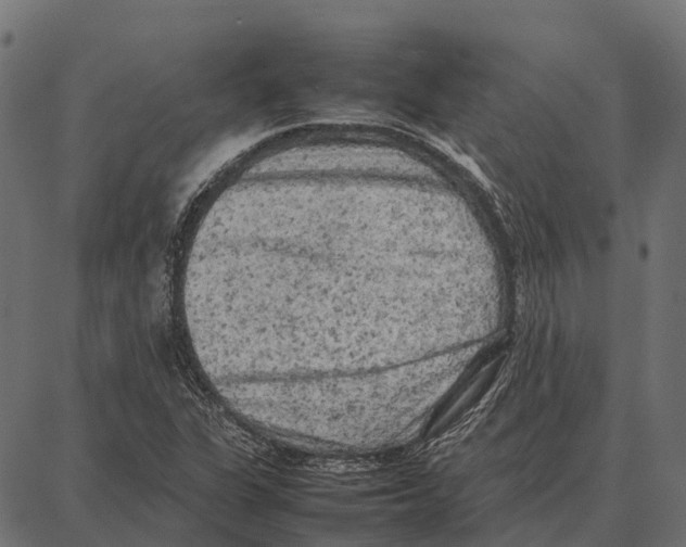 X0000087321311200705181001