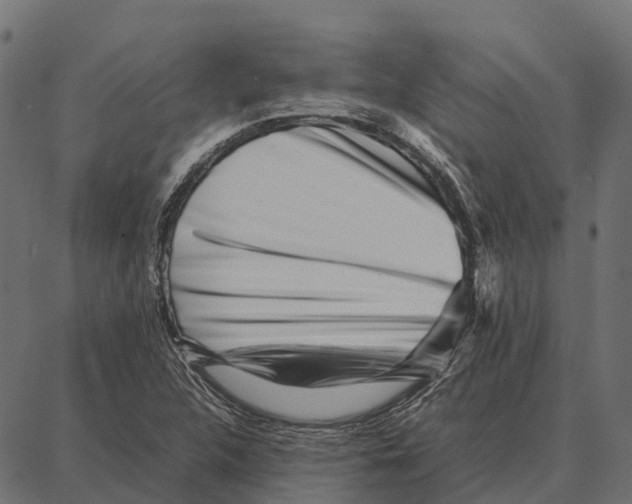 X0000087321312200705181001