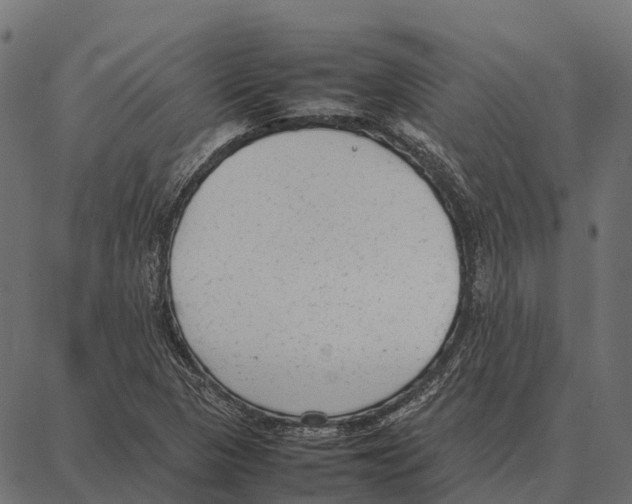 X0000087321313200705181001