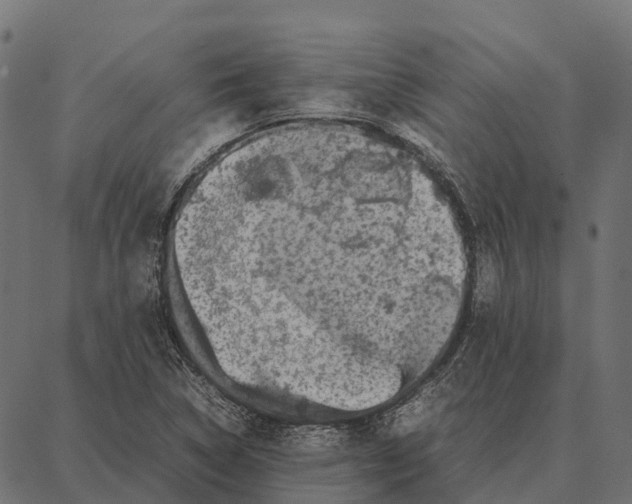 X0000087321314200705181001