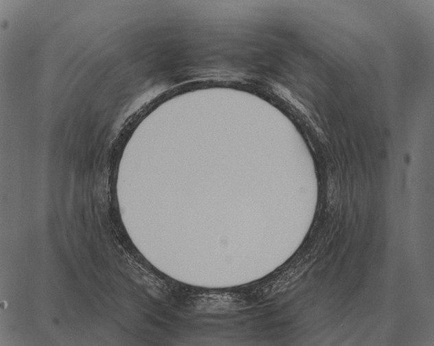 X0000087321315200705181001