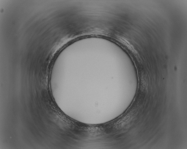 X0000087321316200705181001