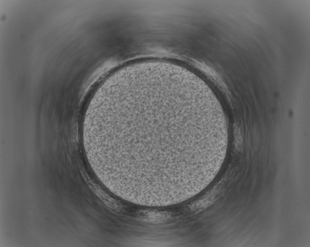 X0000087321318200705181001