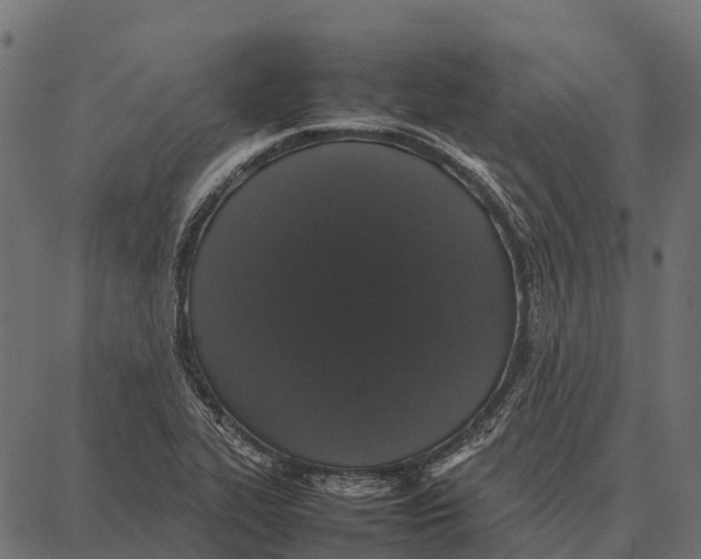 X0000087321319200705181001