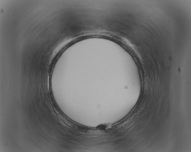 X0000087321320200705181001