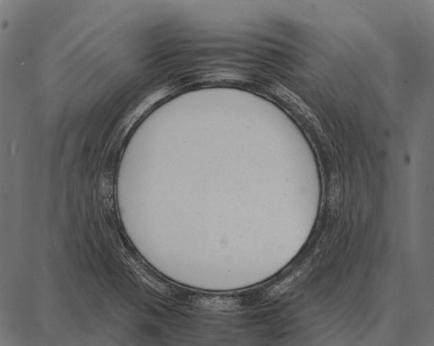 X0000087321321200705181001