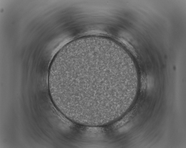 X0000087321322200705181001