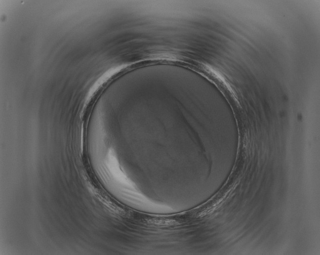 X0000087321323200705181001