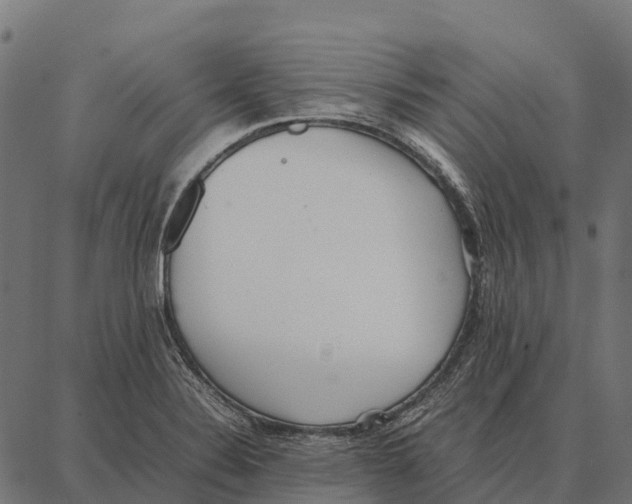 X0000087321324200705181001