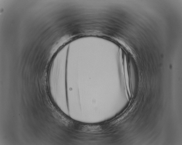 X0000087321325200705181001