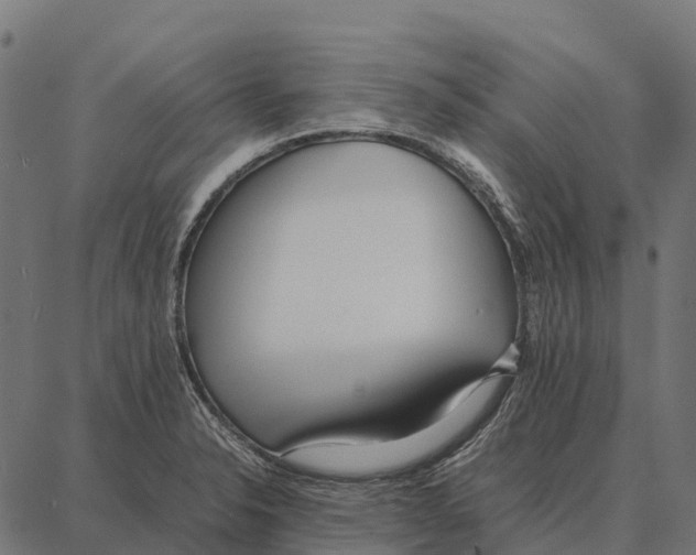 X0000087321326200705181001