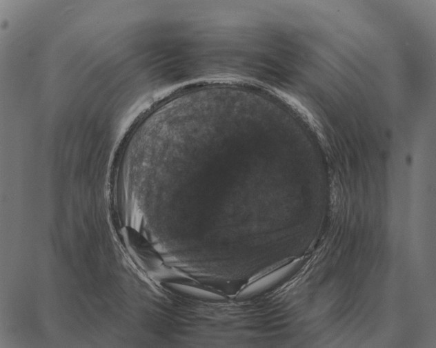 X0000087321327200705181001