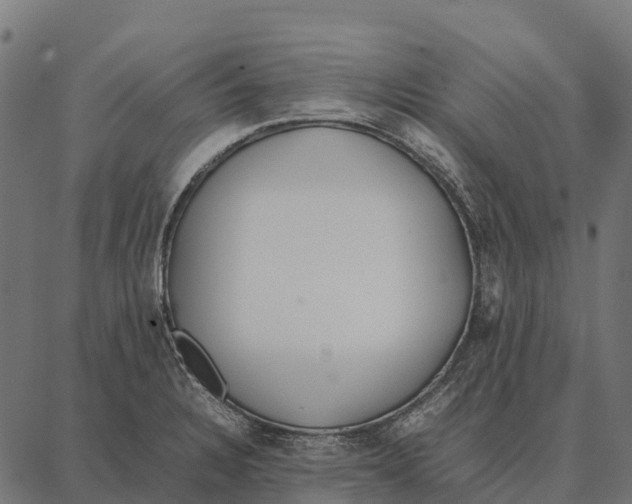 X0000087321328200705181001