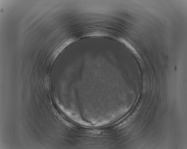 X0000087321329200705181001