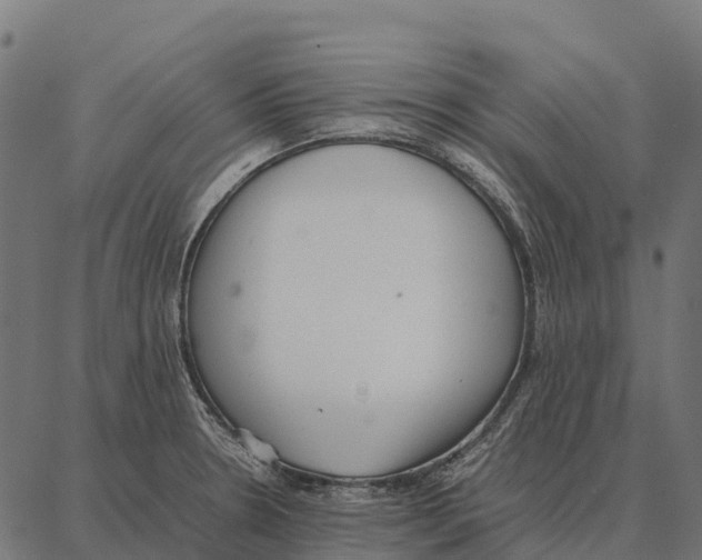 X0000087321330200705181001