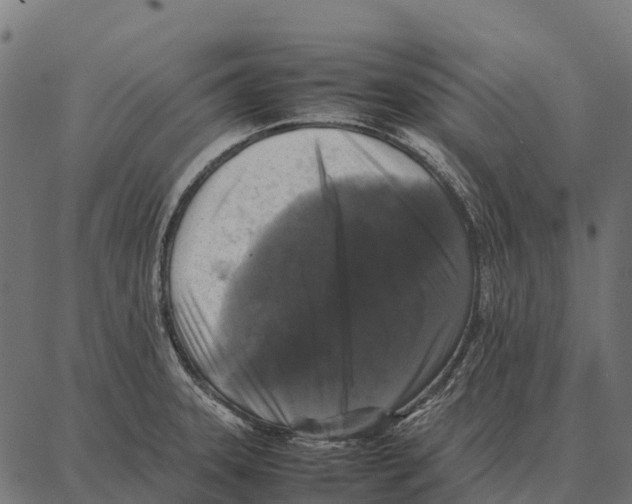 X0000087321331200705181001