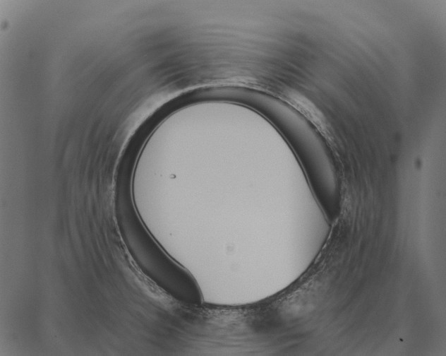 X0000087321332200705181001