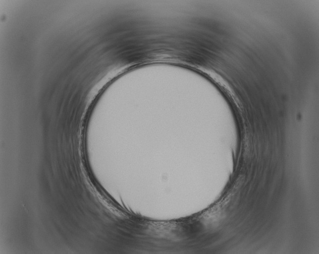 X0000087321333200705181001