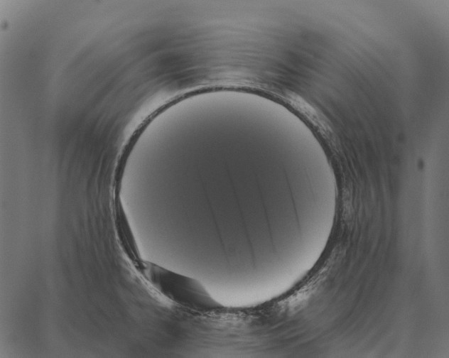 X0000087321334200705181001