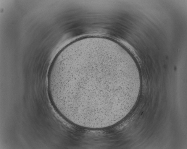 X0000087321335200705181001