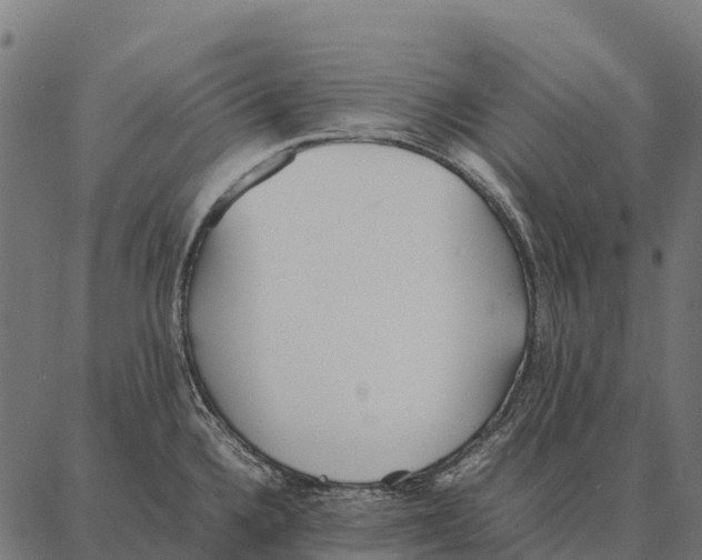 X0000087321336200705181001